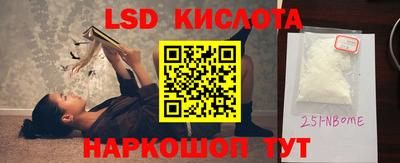 шишки Будённовск