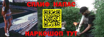 PSILOCYBIN Бузулук