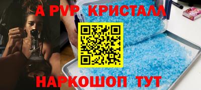 шишки Будённовск
