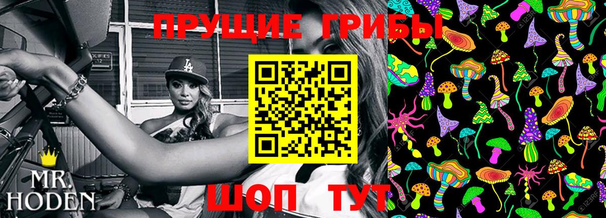 Псилоцибиновые грибы ЛСД Строитель