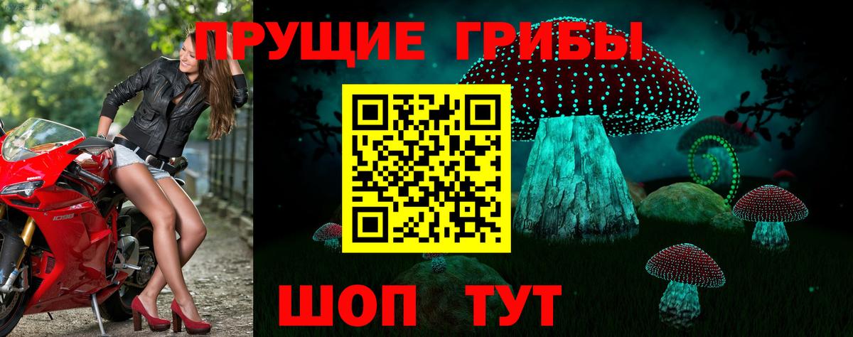 Галлюциногенные грибы мухоморы  Вход с VPN  Строитель 